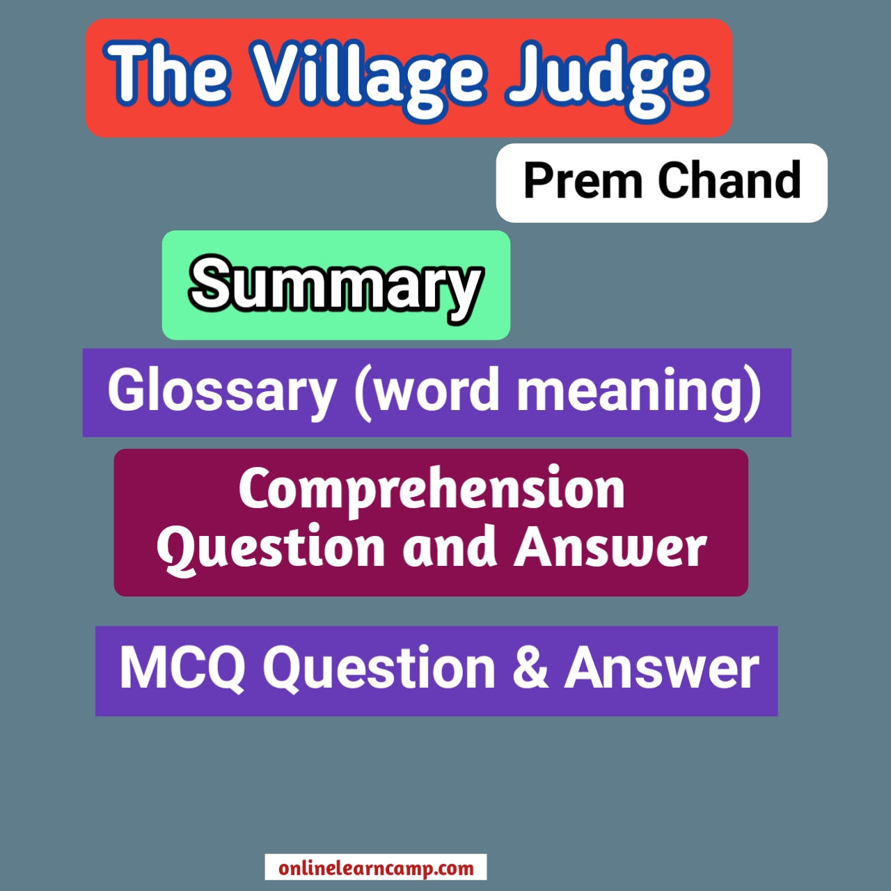 The Village Judge Story Summary Question Answer and MCQ pdf