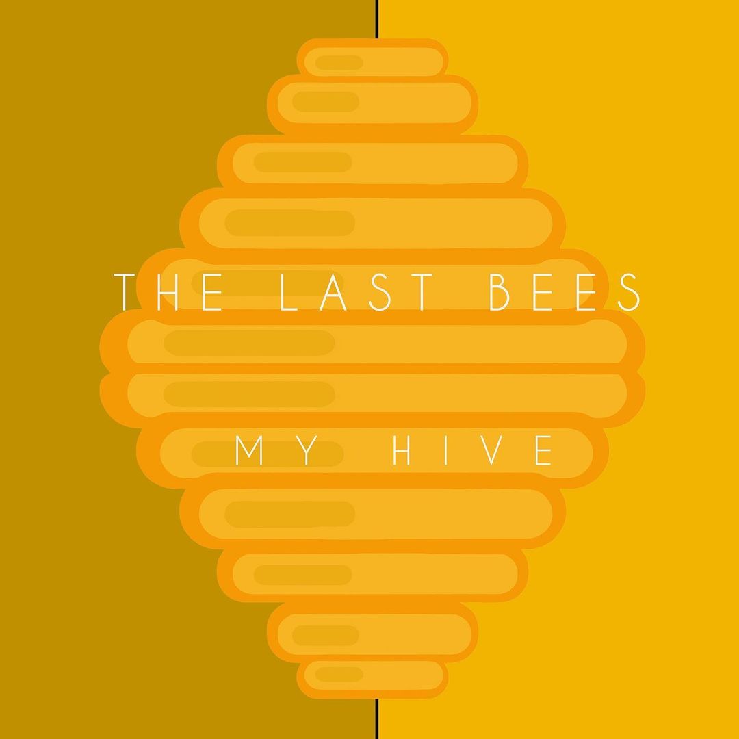 "My Hive" album cover design - front cover image graphics CD cover artwork image for The Last Bees' forthcoming album, "My Hive"