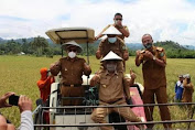 Upaya Meningkatkan Produktivitas Petani, Ini yang Dilakukan Pemkab Buol