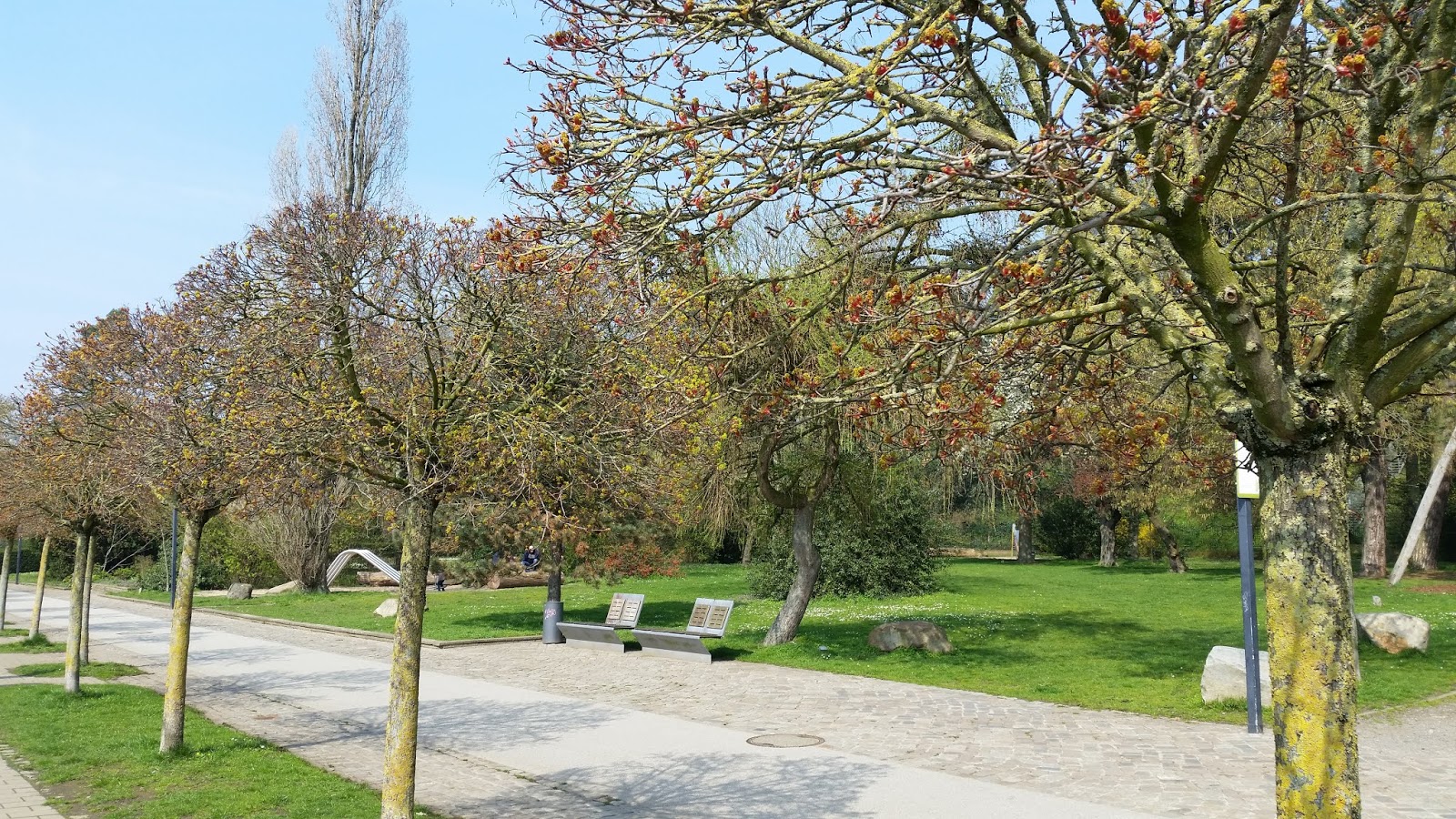 Dav Euer Campus Blog