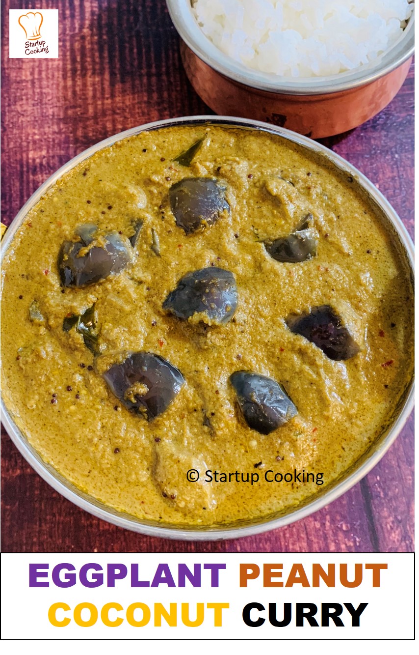 Eggplant Peanut Coconut Curry Recipe Eggplant Recipe Brinjal Peanut