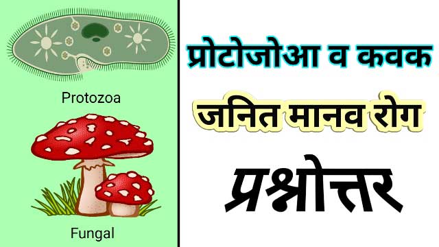 Protozoan diseases | Fungal diseases - प्रोटोजोआ रोग | कवक रोग fungal infection, diseases caused by protozoa, diseases in humans