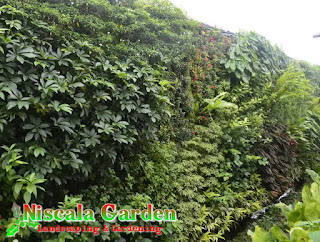 Vertical garden surabaya