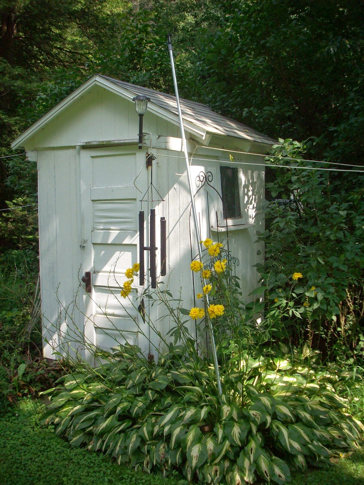 4 acres and a stream: Outhouse Flowers