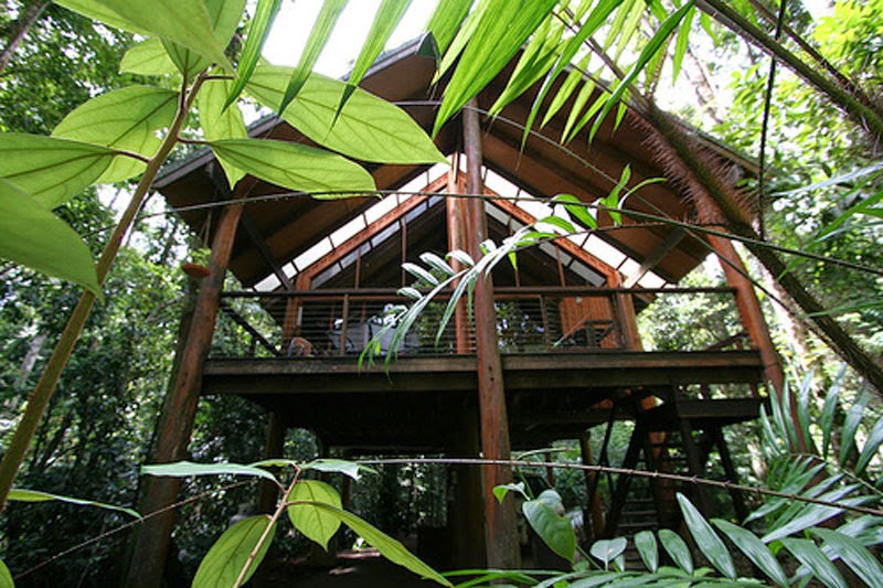 10 Of The Wildest Tree House Locations