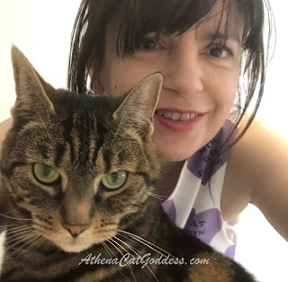 tabby cat with her human mum