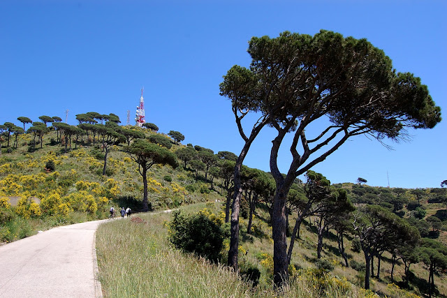 Carretera de les Aigües