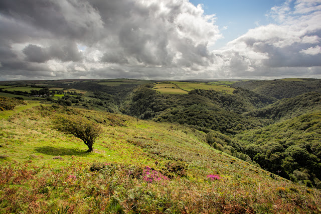 Wild landscape of the East Lyn Valley bathed in sunlight in Exmoor National Park
