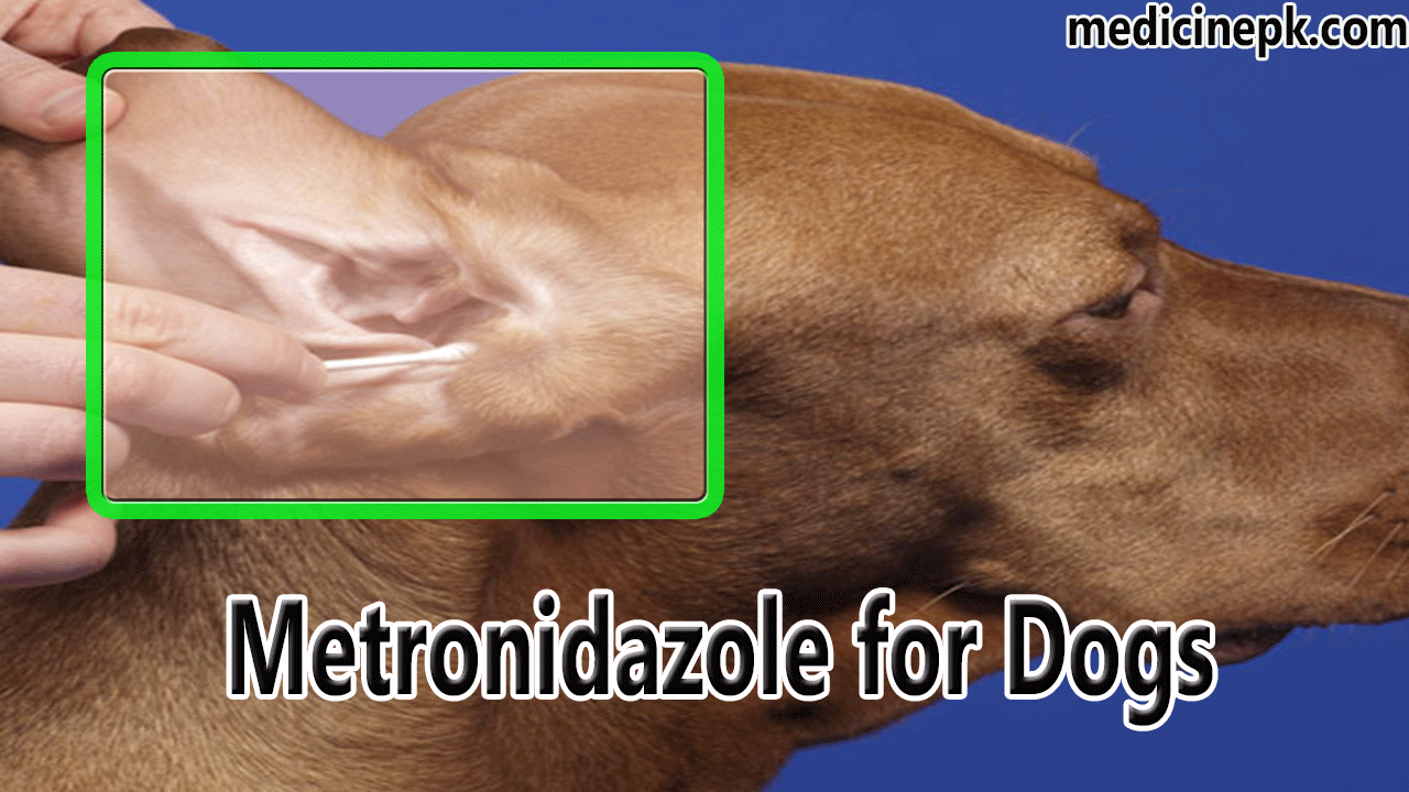 Medicinepk Metronidazole 500mg For Dogs Ear Infection Caused By Bacteria