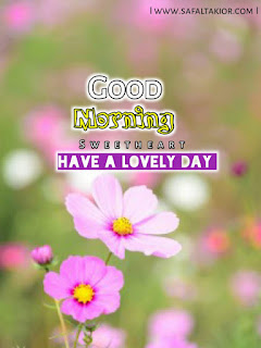 good morning flowers pictures