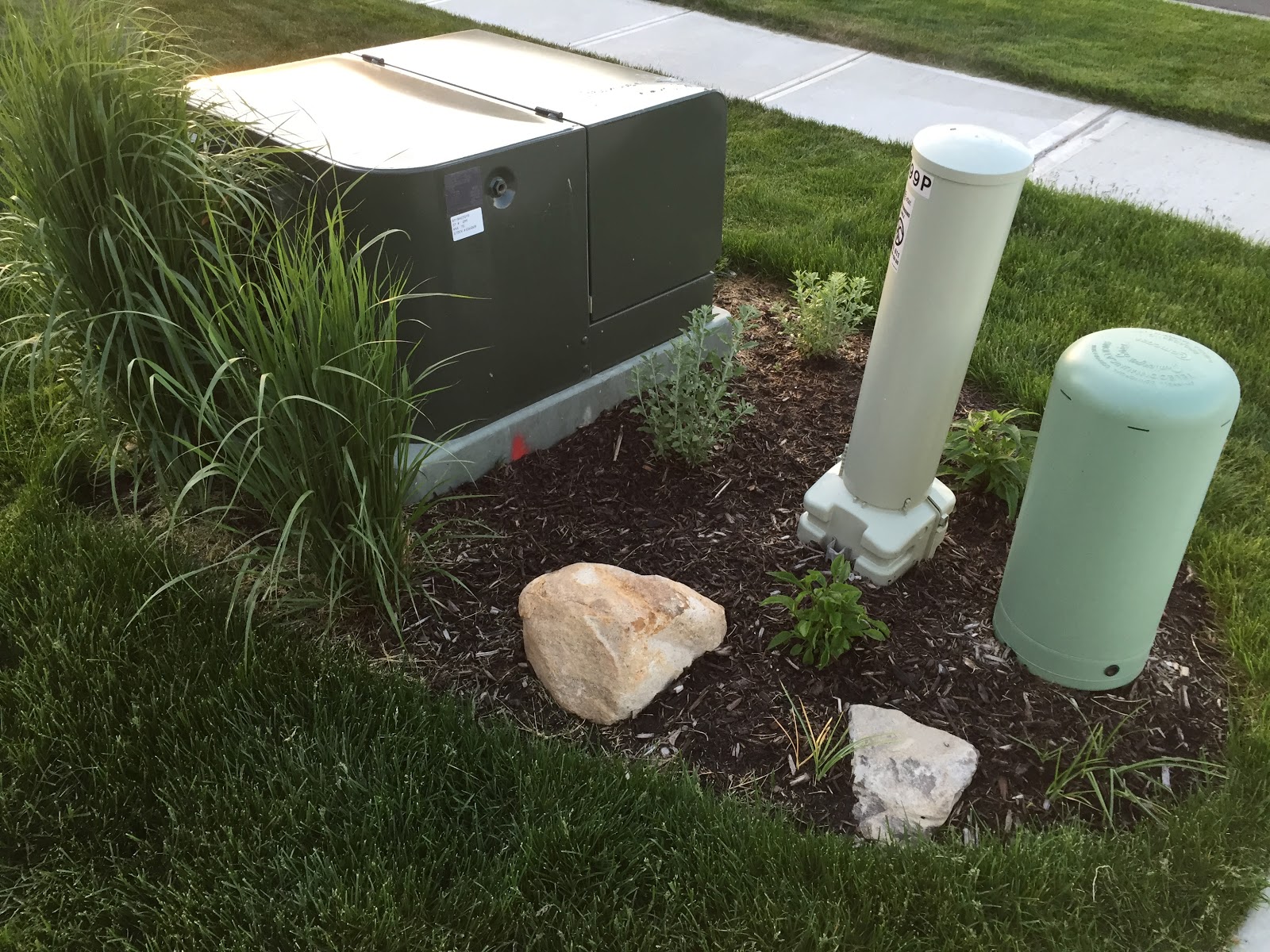 Backyard Neophyte Landscaping Blog May 2015