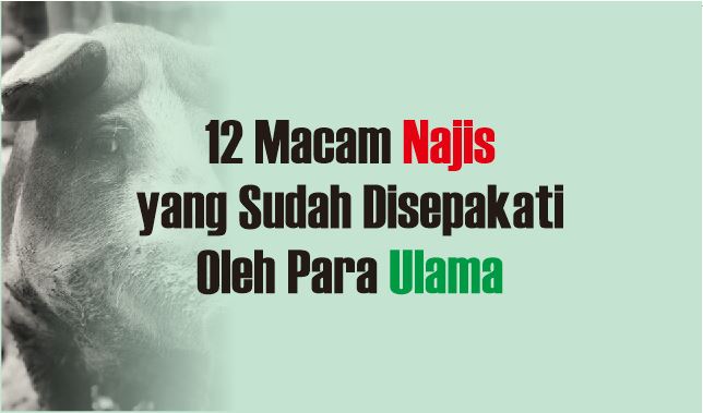 12 Macam Najis yang Sudah Disepakati Oleh Para Ulama - Abu Syuja
