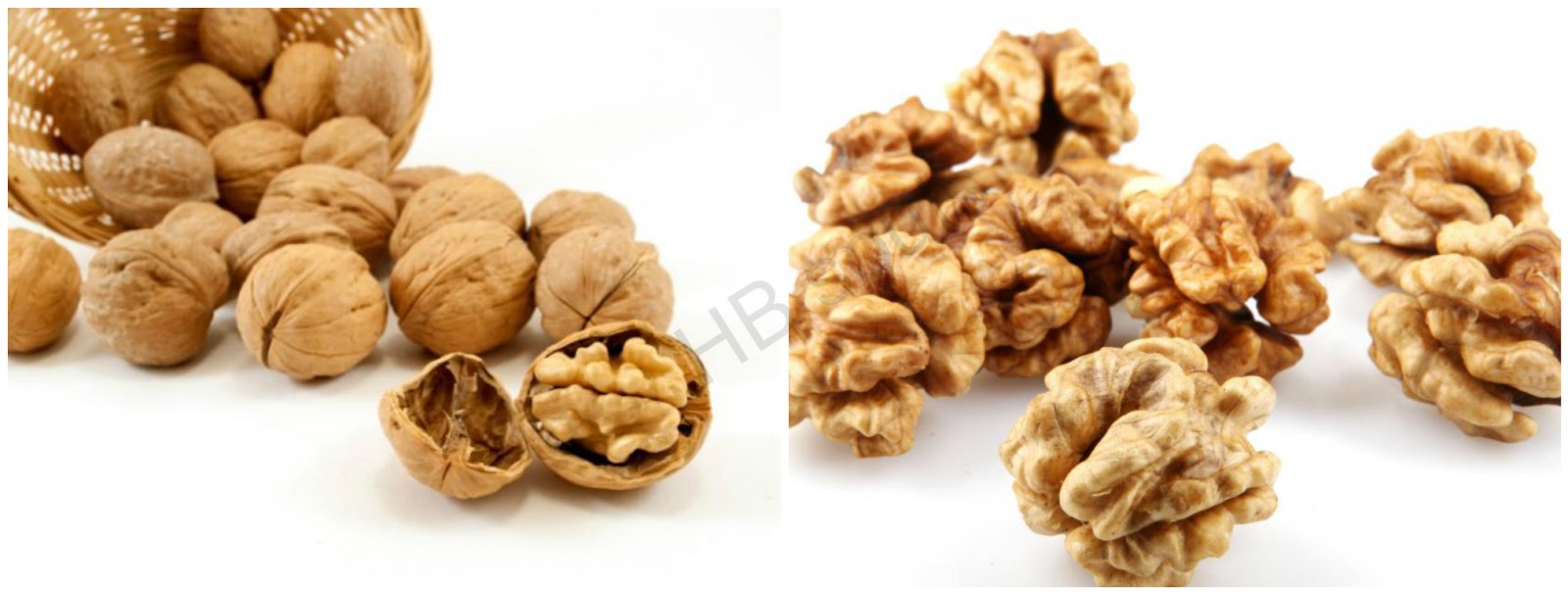 Walnut (Brain food) usage and benefits Health And Beauty Souls