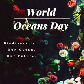 World Oceans Day HD Pictures, Wallpapers