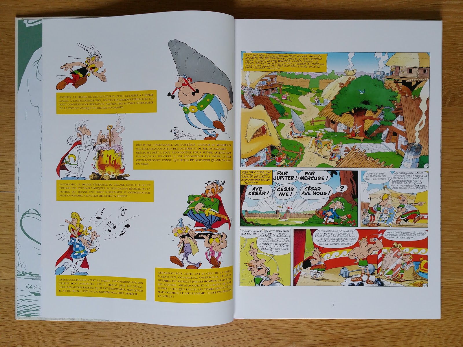 my absolute collection: Astérix Aux Jeux Olympiques Version Luxe Grand  Format