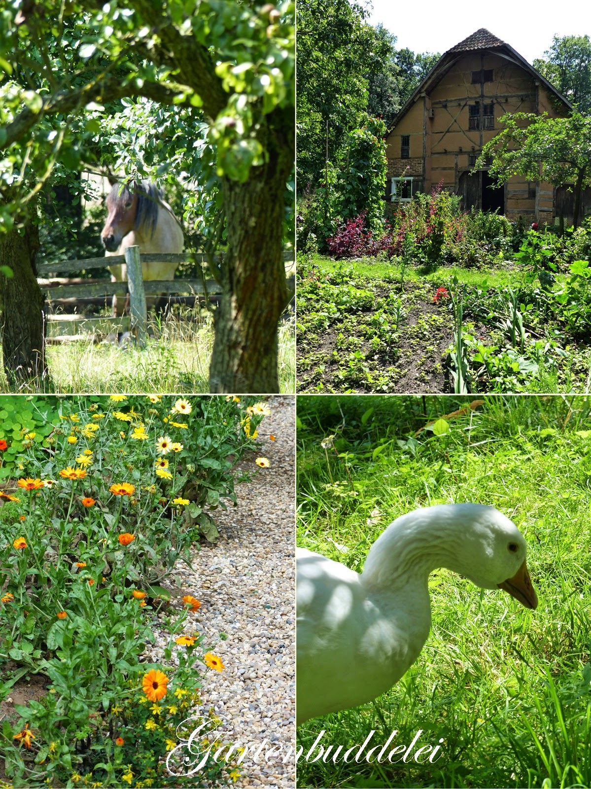 Http Www Klenkes De Data Media Epaper Player 21722 Files Klenkes 2014 04 72dpi Pdf