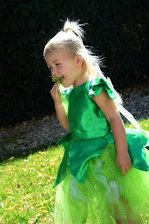 A Couple of Craft Addicts: Tinkerbell Costume