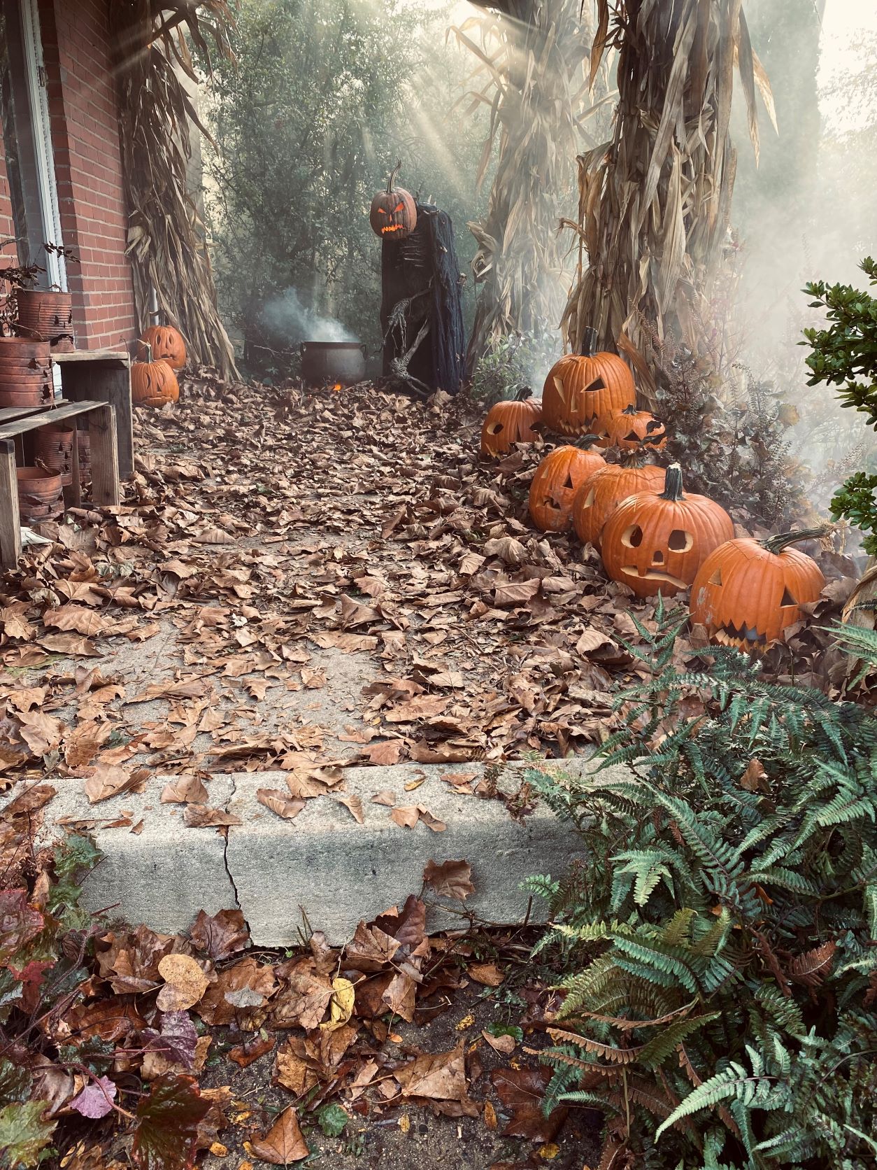 PUMPKINROT.COM: The Blog: SAMHAIN