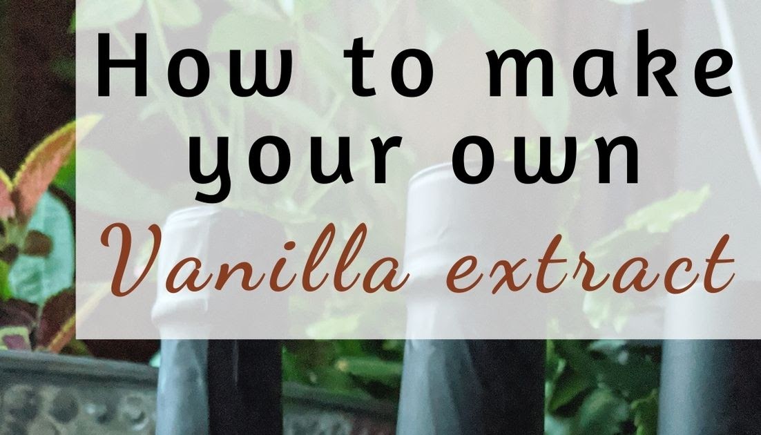 How to make your own vanilla extract Feathers in the woods