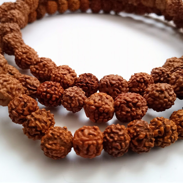Japa Mala en Rudraksha
