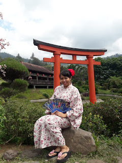 the onsen hot spring resort