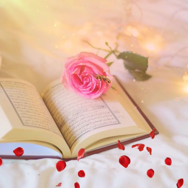 Quran HD Images Quran Images With Flowers Deeni Islamic Images