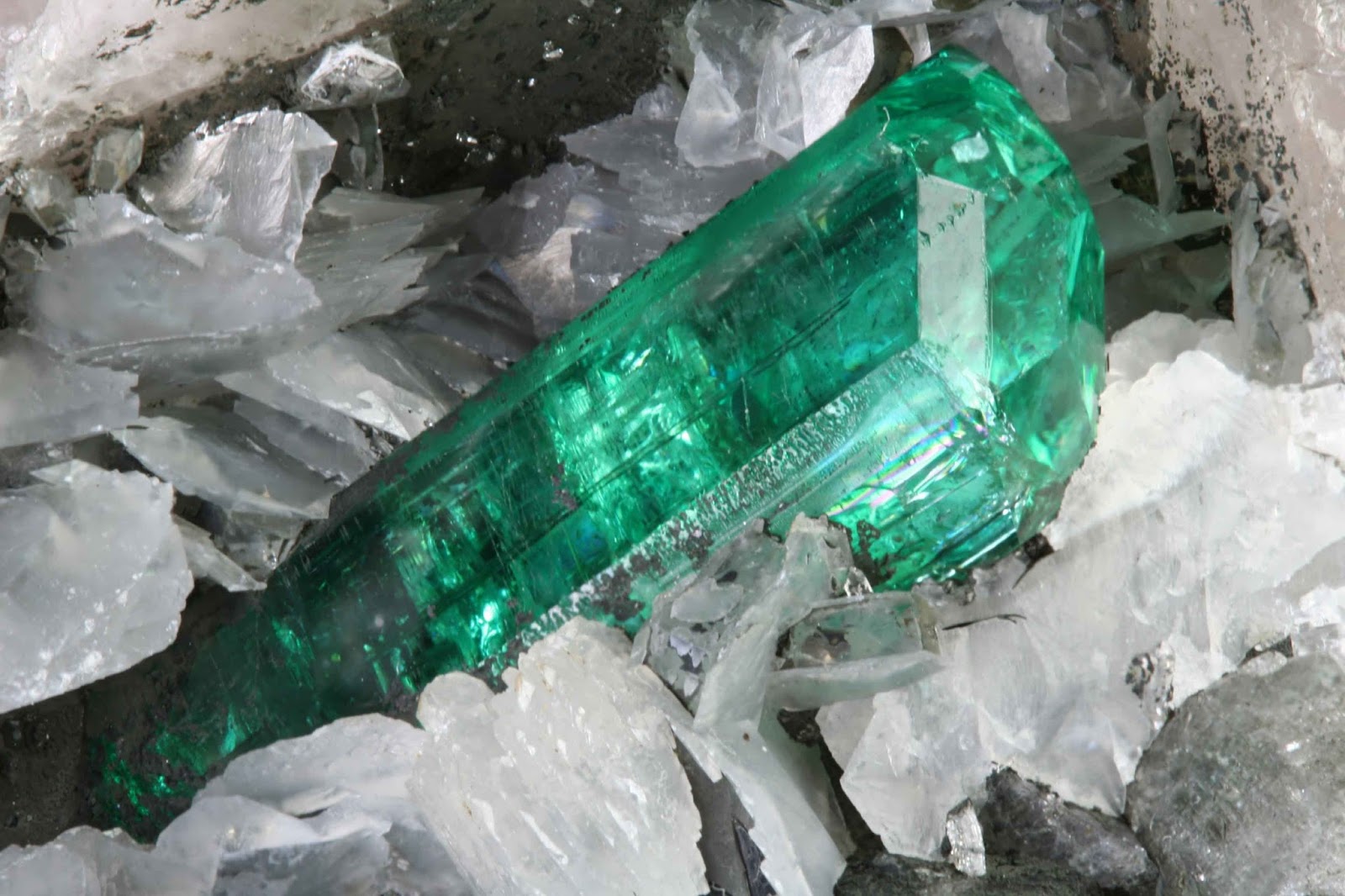 North Carolina Emeralds January 2018