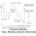 Catalysis Definition | Types, Negative catalysis, Autocatalysis |