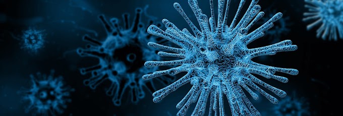 कोरोनो वायरस क्या है ?  अब तक ले चुका है 954261 लोगोकी जान |