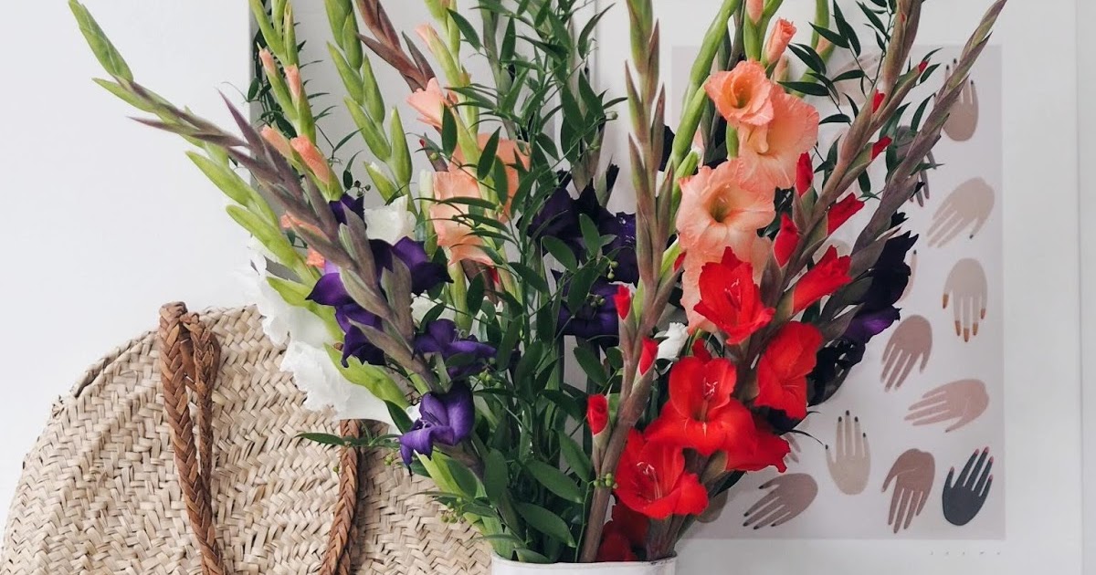 Freddie's Flowers Beautiful, Lasting Blooms angloyankophile