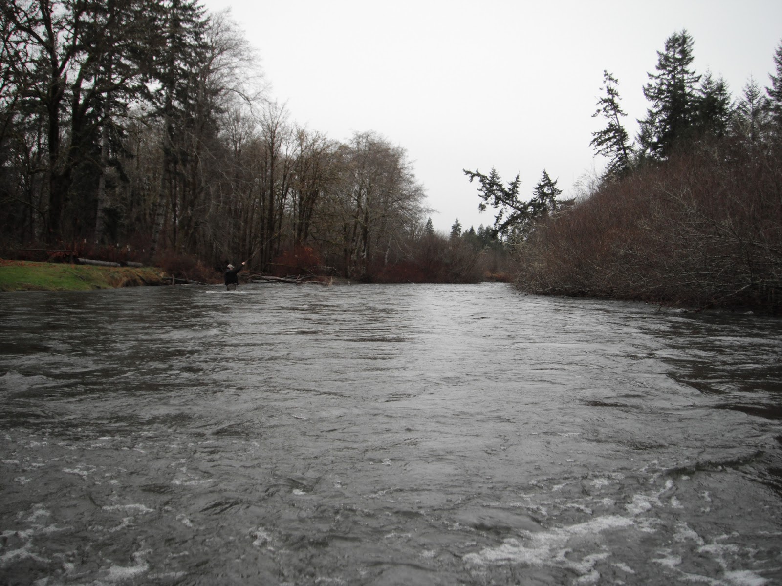 Where I have Fished Satsop River, WA