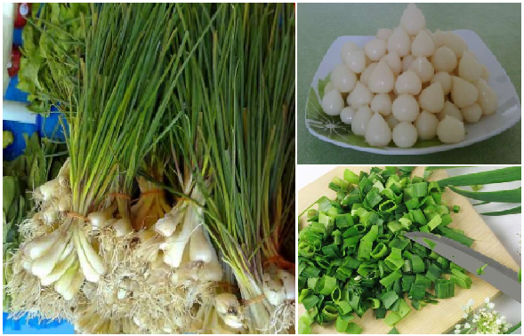 Ternyata Sel Kanker Takut Dengan 3 Sayur Ini, Pastikan Mereka Selalu Ada di Dapurmu dan Ingat Untuk Sering Mengkonsumsinya Sel%2BKanker%2BTakut%2Bdengan%2B3%2BSayur%2Bini