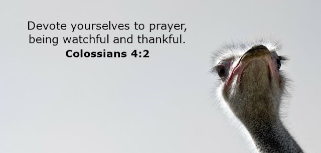   Devote yourselves to prayer, being watchful and thankful. 