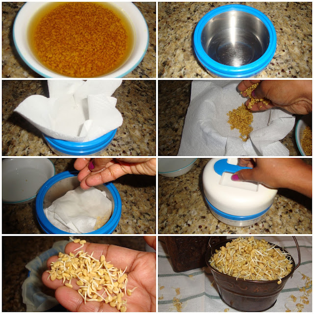 images of How to Sprout Fenugreek Seeds / How to Sprout Methi Seeds