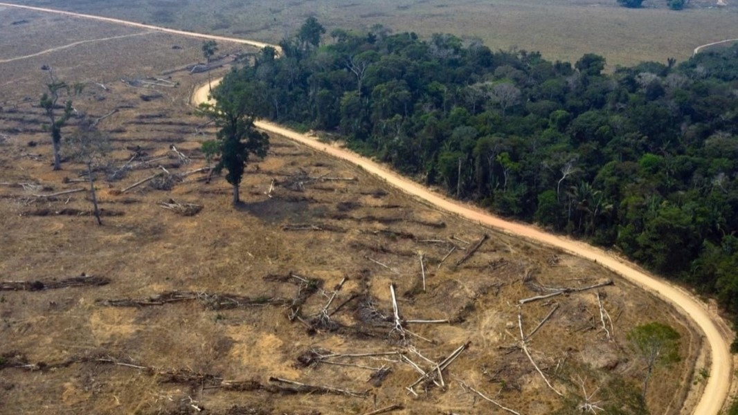 deforestacion-brasil