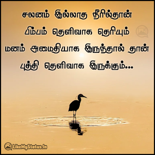 சலனம் இல்லாத நீரில்தான் பிம்பம் தெளிவாக தெரியும் மனம் அமைதியாக இருந்தால் தான் புத்தி தெளிவாக இருக்கும்...