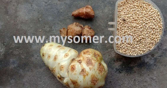 Racikan Jamu Lovbirt Konslet Untuk Betina - 7 Jamu Konslet Lovebird Dan