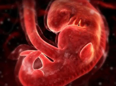 Perkembangan Bayi di 4 Minggu