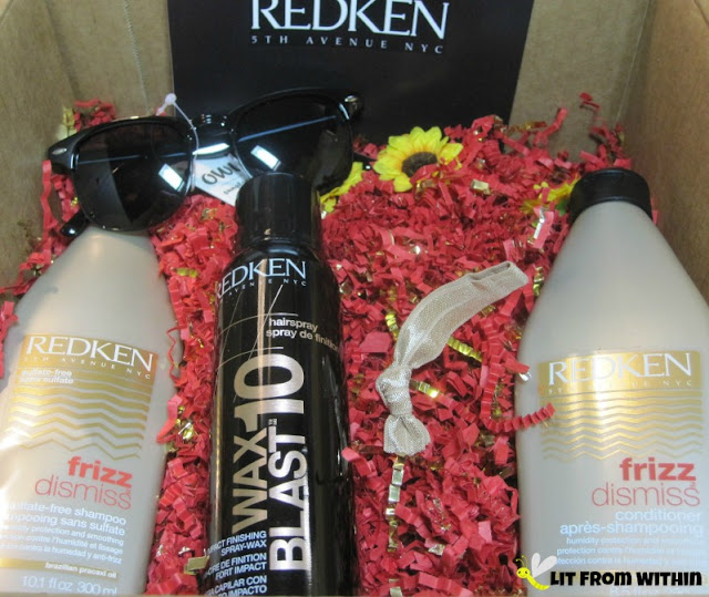 Lit From Within Dismiss That Frizz Redken