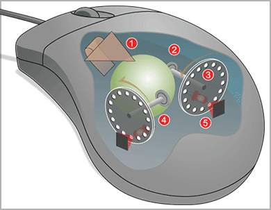 What is an input device? Definition and types of input device