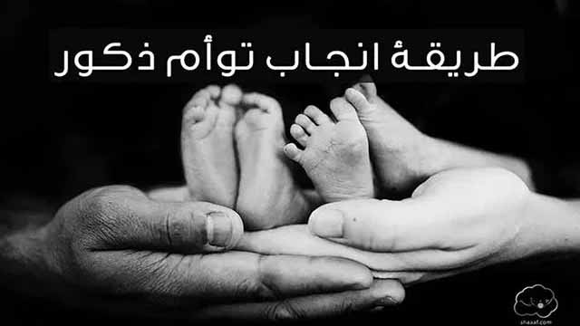 طريقة الحمل بتوأم ذكور | تنشيط المبايض للحمل بتوأم ذكور