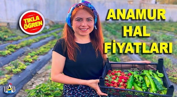 Anamur Hal Fiyatları,Anamur Haber,