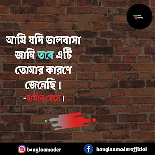 Love quotes in Bengali | Husband and wife love bangla