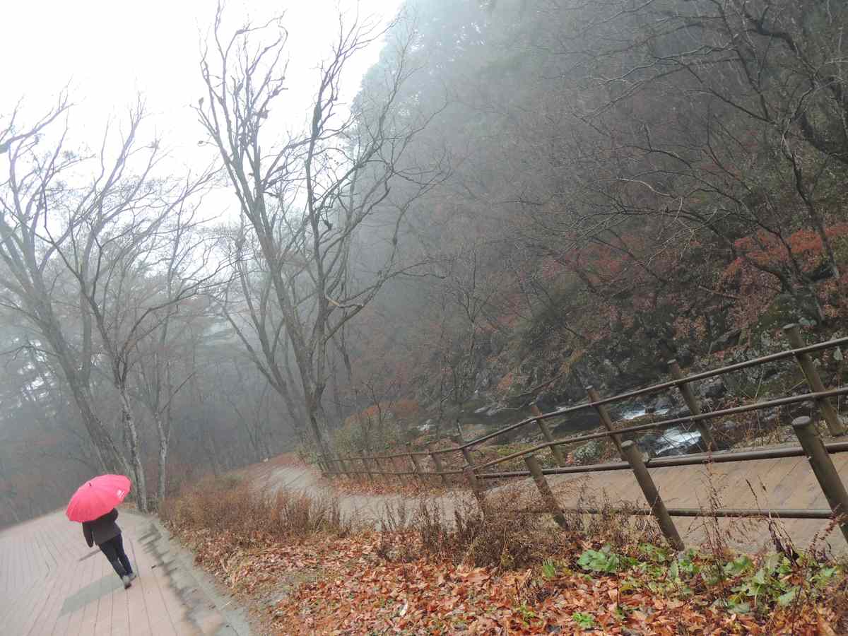 원주 구룡사 원주 구룡사