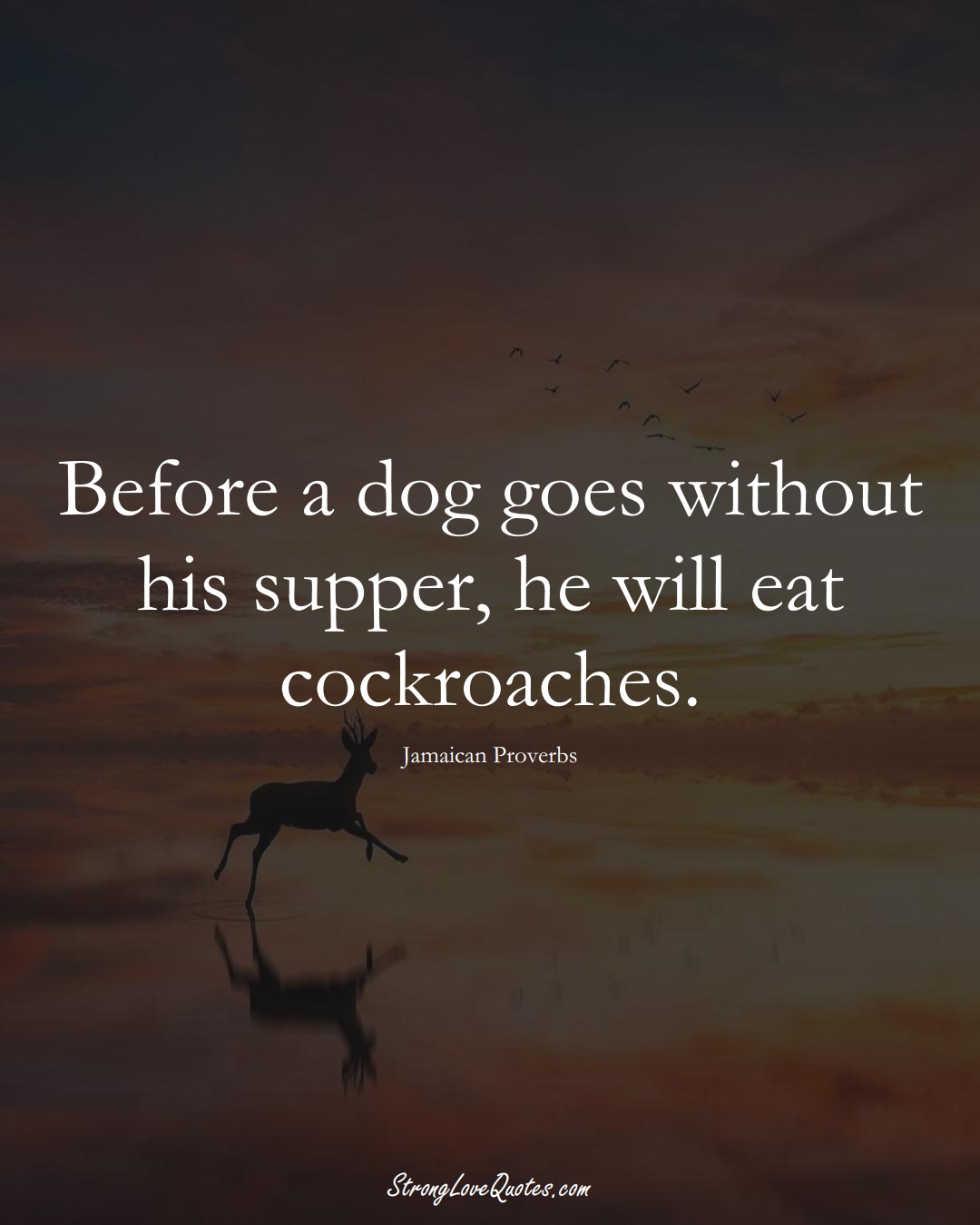 Before a dog goes without his supper, he will eat cockroaches. (Jamaican Sayings);  #CaribbeanSayings
