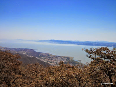 Lago de Chapala visto desde el Cerro La Chupinaya