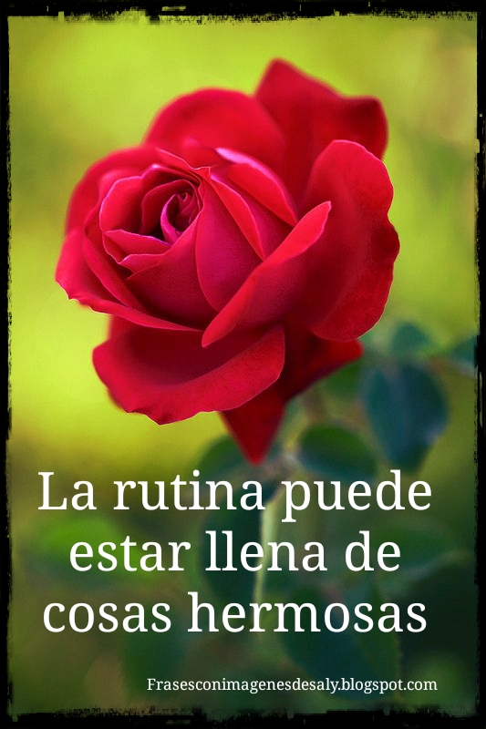 Frases con imágenes : La rutina puede estar llena de cosas hermosas