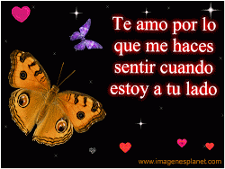 bonitas imagenes amor romanticas buscar compartir muy