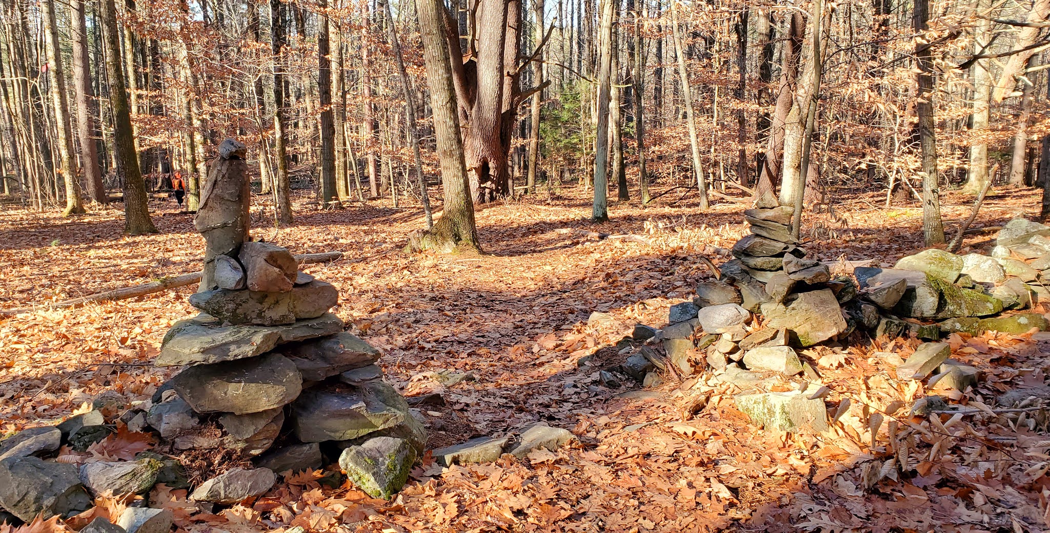 Beech Hill (Dublin) NH