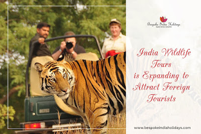 India wildlife tours is expanding to foreign tourists